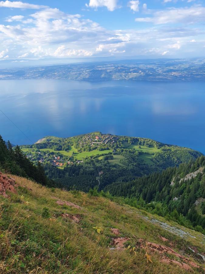 Chalet Chalon Meillerie Екстер'єр фото